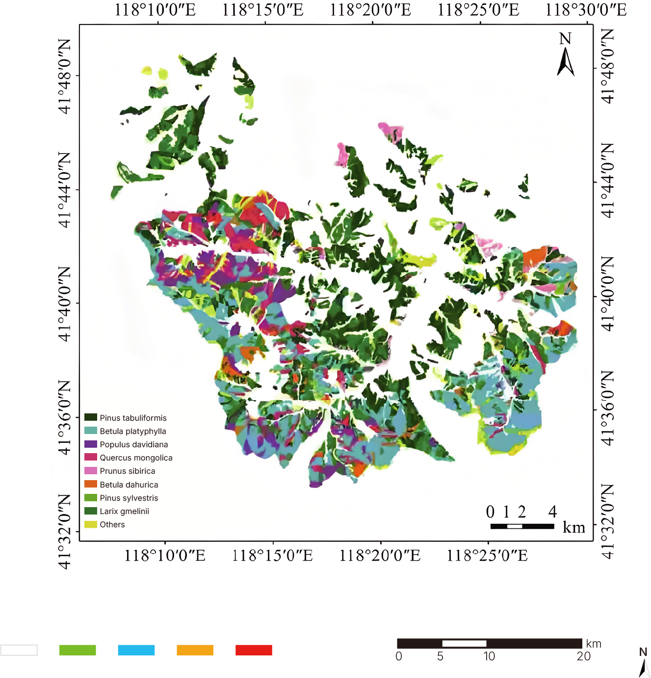 Tree Species Identification