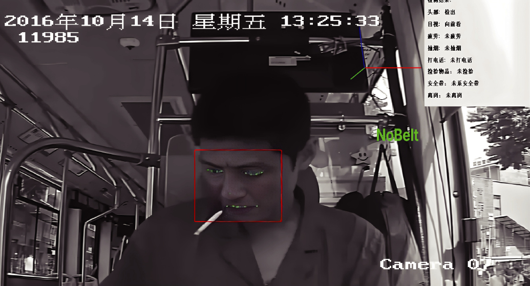 Driver Smoking